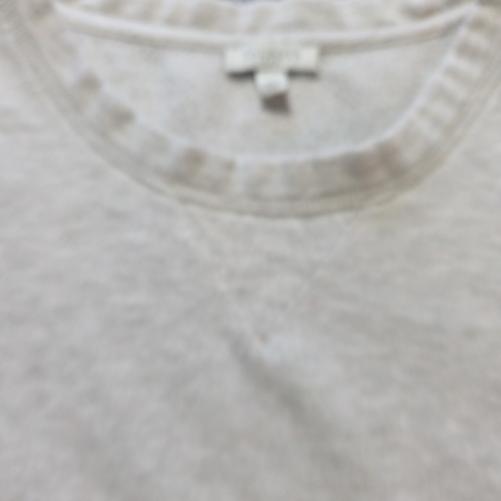 Talbots Sweatshirt Womens Large Oatmeal Heather Dog Graphic Crewneck Pullover - Picture 5 of 6